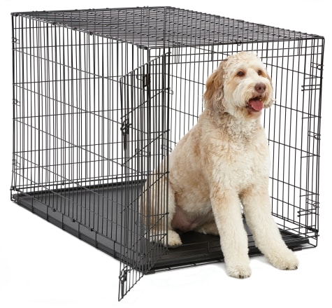Midwest Metal Dog Crate