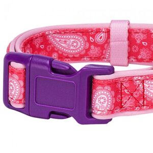 pink paisley pet collar 