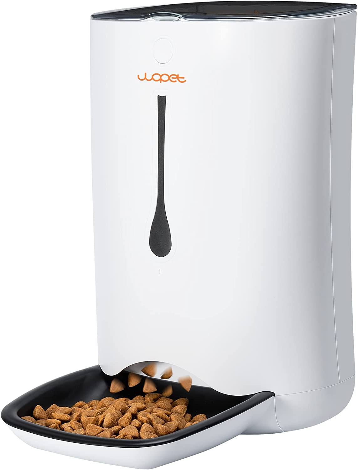 Are Automatic Dog Feeders Needed ?