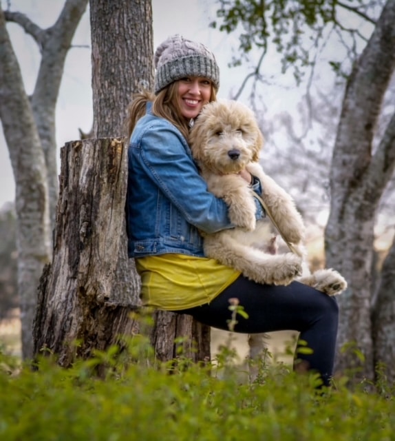 desirable qualities in all platinum goldendoodle puppies