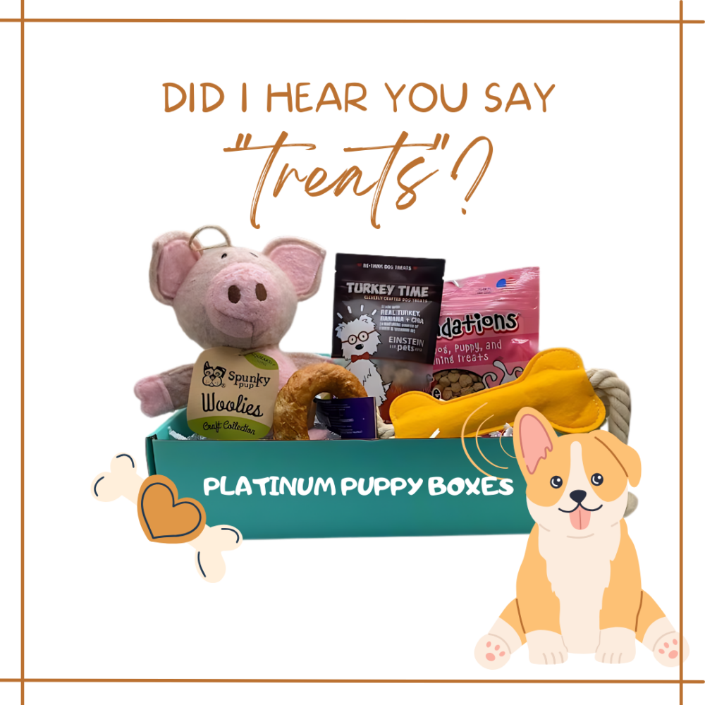 Did I hear you say "treats"? Platinum Puppy boxes.