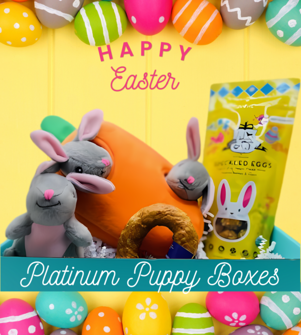 Happy easter! Platinum Puppy Boxes.