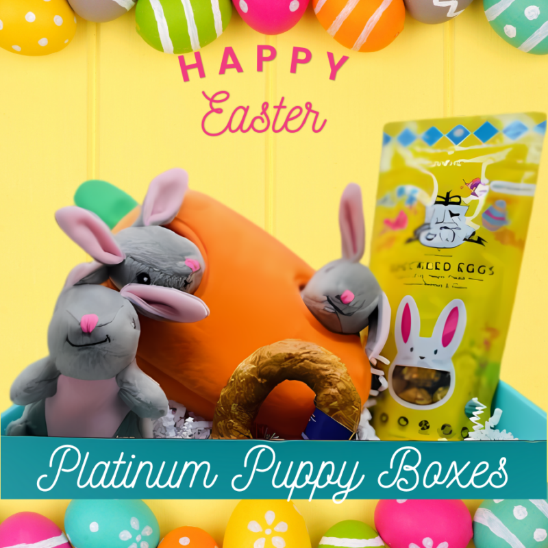 Happy easter! Platinum Puppy Boxes.