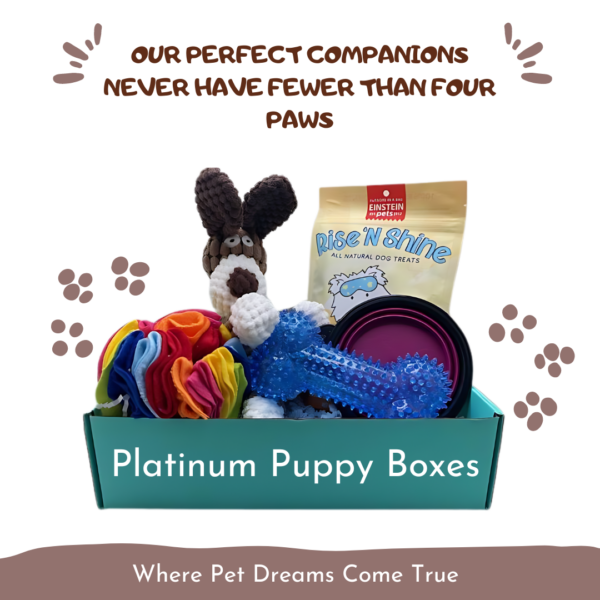 Our perfect companions never have fewer than four paws. Platinum Puppy boxes. Where Pet Dreams Come True.