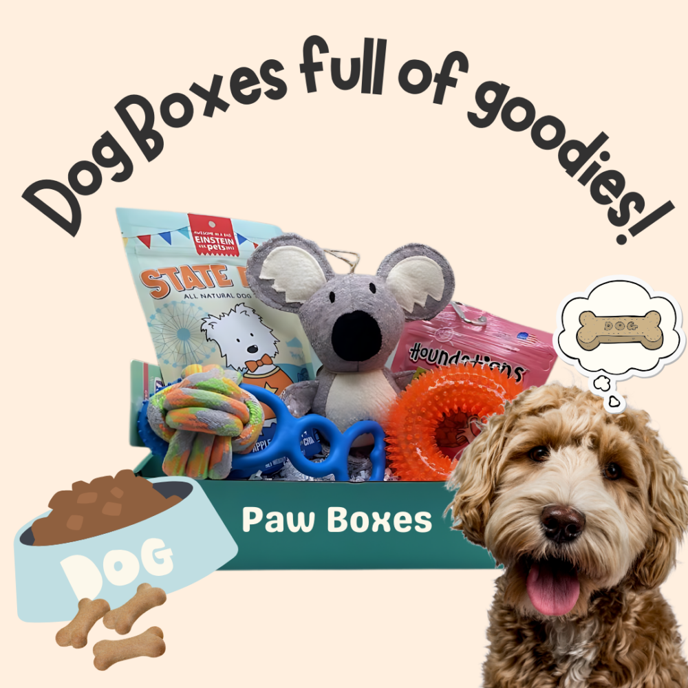 Dog boxes full of goodies!