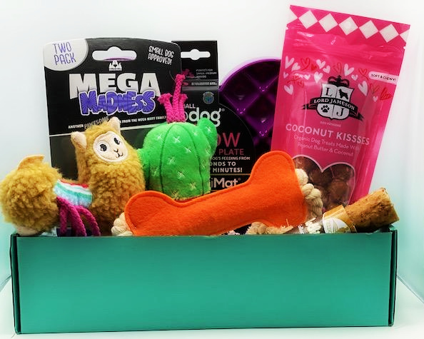 Box with various treats and toys. Get a Platinum Puppy box today!