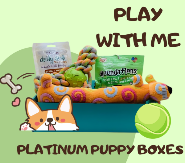 Play with me. Platinum Puppy Boxes.