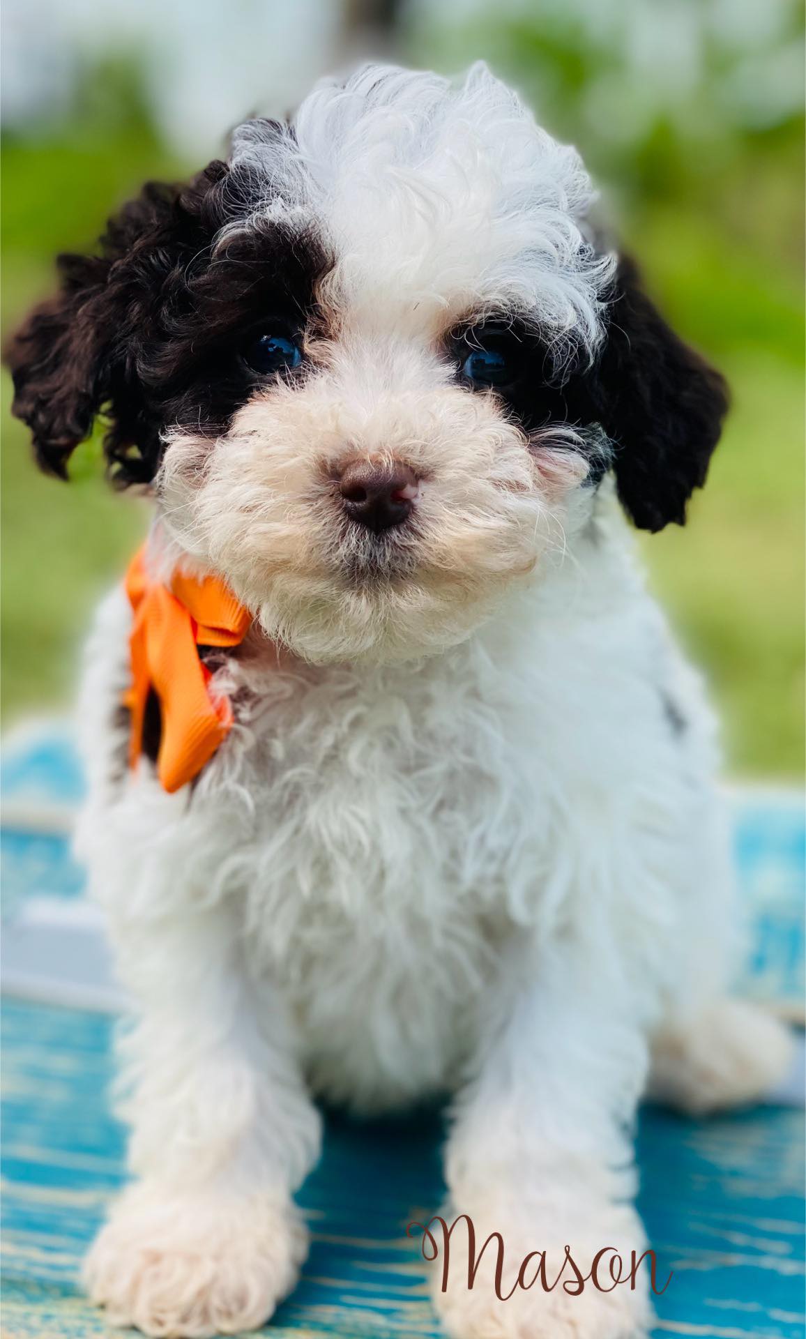 Mason
